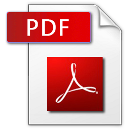 PDF Lebenslauf Download